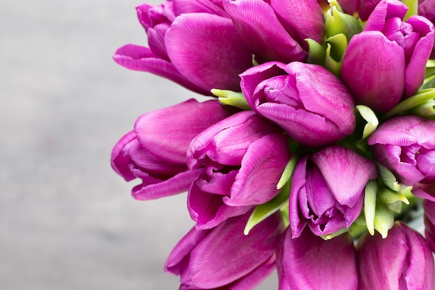 Bouquet de tulipes pourpres