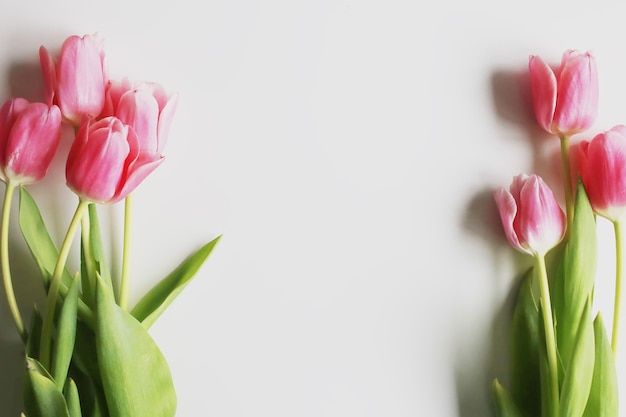 Bouquet de tulipes roses sur blanc