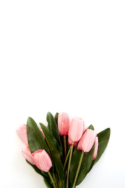 Bouquet de tulipes roses sur blanc