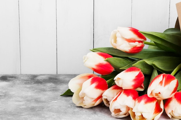 Bouquet de tulipes roses blanches sur fond gris. Espace copie