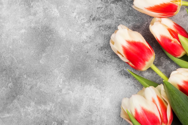 Photo bouquet de tulipes roses blanches sur fond gris. vue de dessus, espace copie