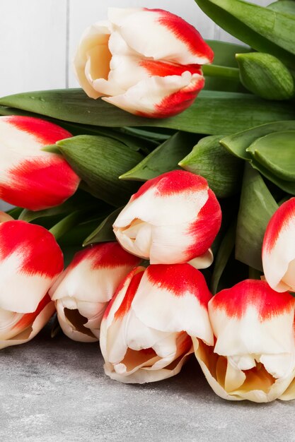 Bouquet de tulipes roses blanches sur fond gris