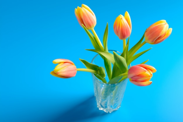 Bouquet de tulipes roses dans un vase