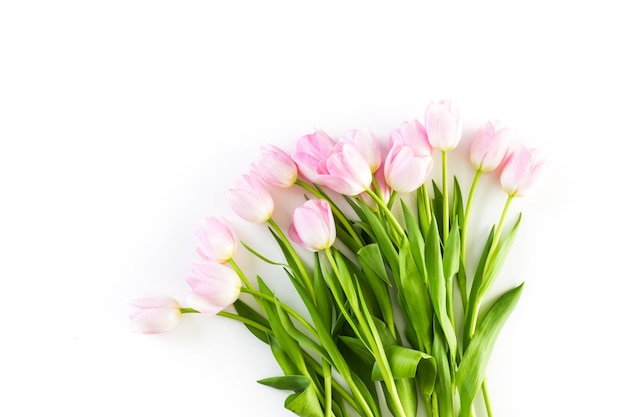 Bouquet de tulipes roses sur fond blanc.