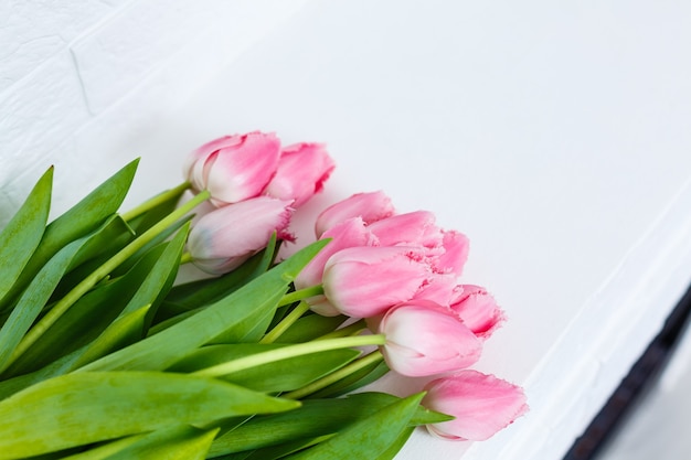 bouquet de tulipes roses sur fond blanc