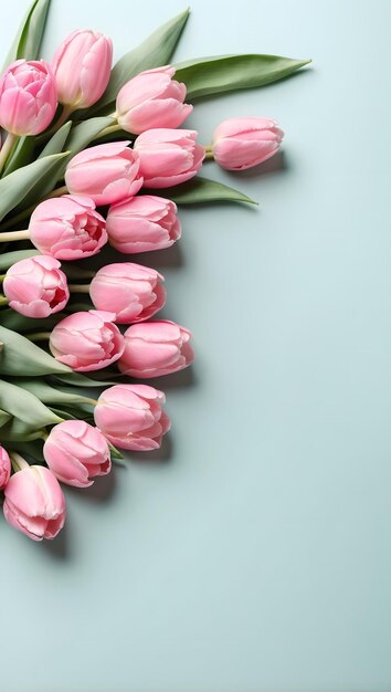 Bouquet de tulipes roses sur fond bleu clair vue du haut