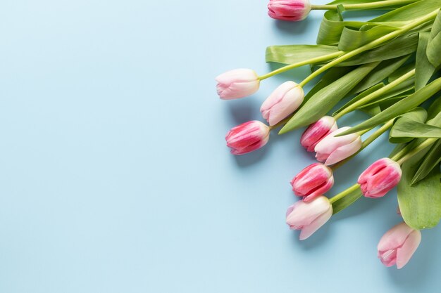 Bouquet de tulipes roses sur fond bleu.