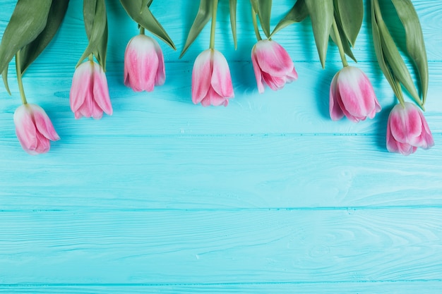 Bouquet de tulipes roses sur fond en bois bleu