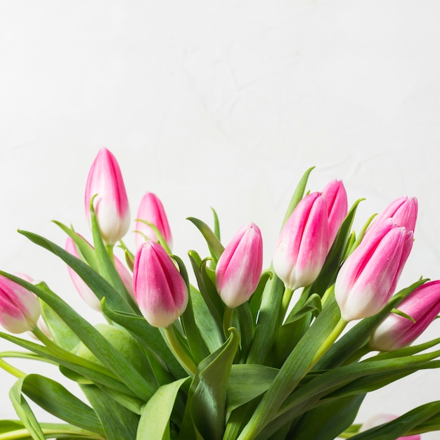 Bouquet de tulipes roses sur fond de mur en pierre blanche. concept des vacances et du début du printemps.