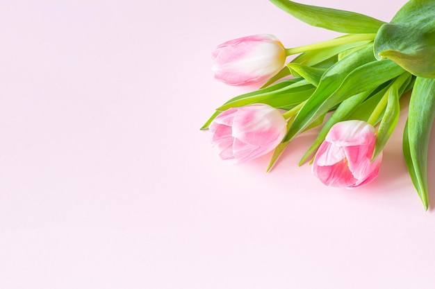 Photo bouquet de tulipes roses sur fond rose carte de voeux pour la fête des mères fête des femmes le 8 mars