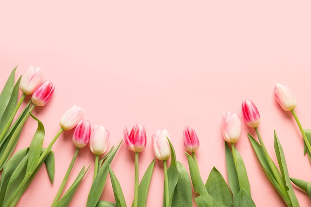 Bouquet de tulipes roses sur fond rose avec espace de copie.