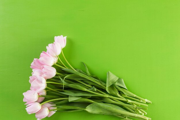 Bouquet de tulipes roses sur fond vert.