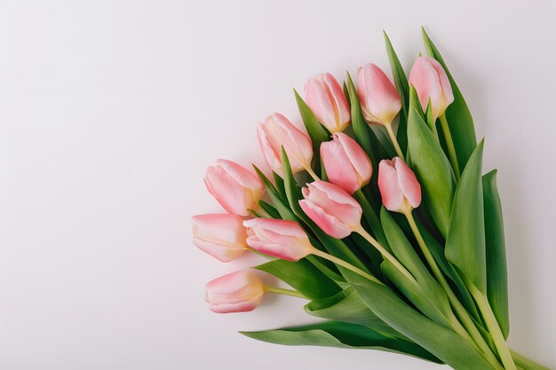 Photo bouquet de tulipes roses offert sur blanc pour la fête des mères