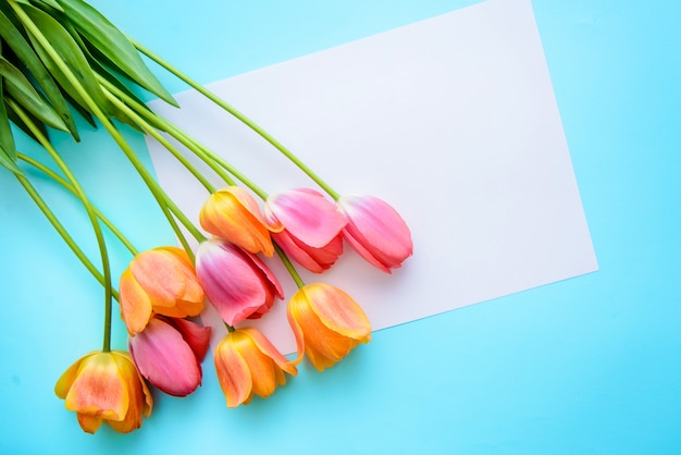 Bouquet de tulipes roses et orange et un morceau de papier sur fond bleu