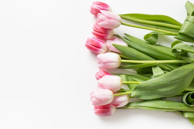 Bouquet de tulipes roses romantiques isolé sur blanc, carte de voeux de printemps avec espace de copie.