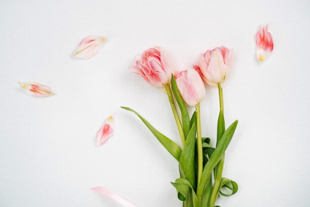 Bouquet de tulipes roses. Vue de dessus, fond blanc, espace de copie de texte.