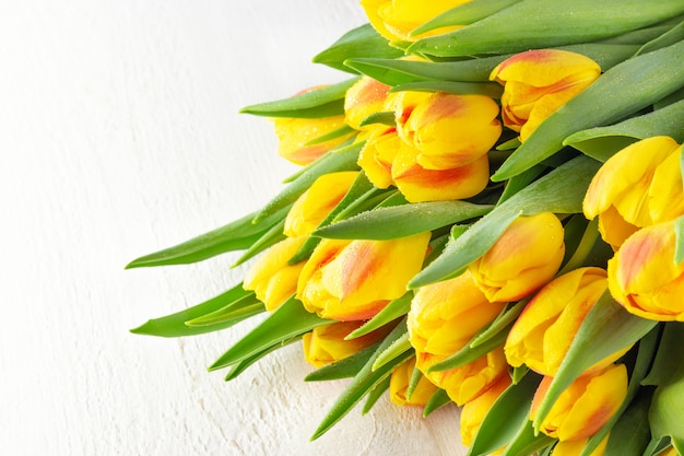 Bouquet de tulipes rouge fleur jaune printemps