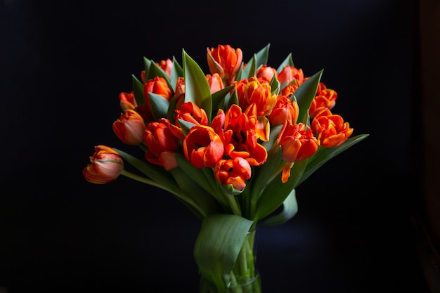 Bouquet de tulipes rouge-jaune sur fond noir. Fermer.