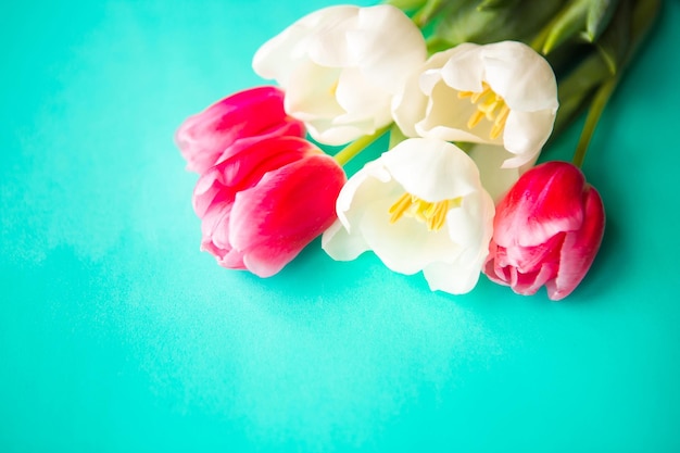 Bouquet de tulipes rouges et blanches sur fond vert vif espace de copie pour le texte