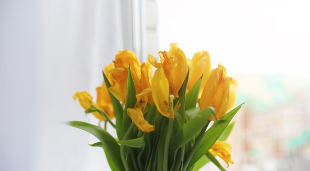 Un bouquet de tulipes rouges dans un vase sur le rebord de la fenêtre. Un cadeau pour la journée d'une femme à partir de fleurs de tulipes rouges. Belles fleurs rouges dans un vase près de la fenêtre.