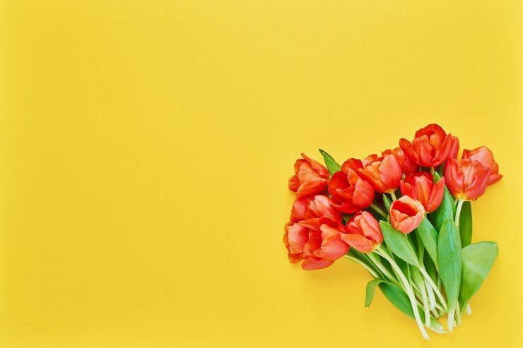 Photo bouquet de tulipes rouges sur fond jaune. belle carte de voeux. concept de vacances. copiez l'espace pour le texte, vue de dessus.