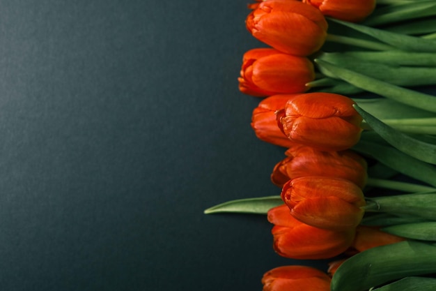 Bouquet de tulipes rouges sur fond sombre Jour de la mère Jour de la Saint-Valentin Concept de célébration d'anniversaire Carte de vœux Copier l'espace pour le texte vue supérieure