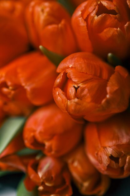 Photo bouquet de tulipes rouges en gros plan à l'arrière-plan