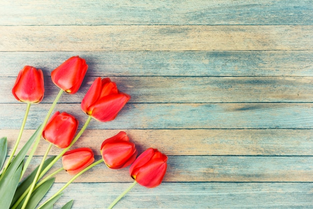 Bouquet de tulipes rouges sur grunge rétro en bois bleu clair avec la surface.