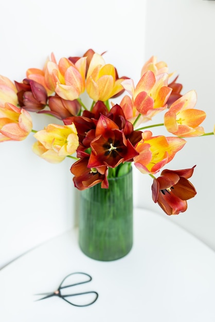 Un bouquet de tulipes rouges jaunes fraîches dans un vase vert sur la table avec des ciseaux Place pour une inscription