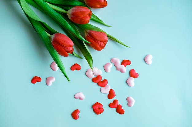Bouquet de tulipes rouges avec petits coeurs sur fond bleu vue de dessus