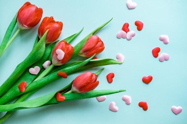 Bouquet de tulipes rouges avec petits coeurs sur fond bleu vue de dessus