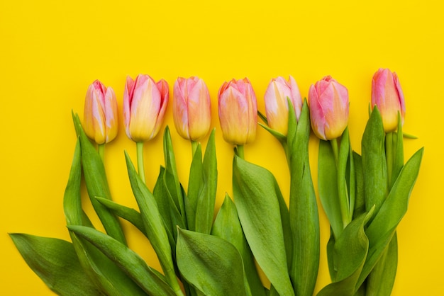 Bouquet de tulipes sur tableau jaune