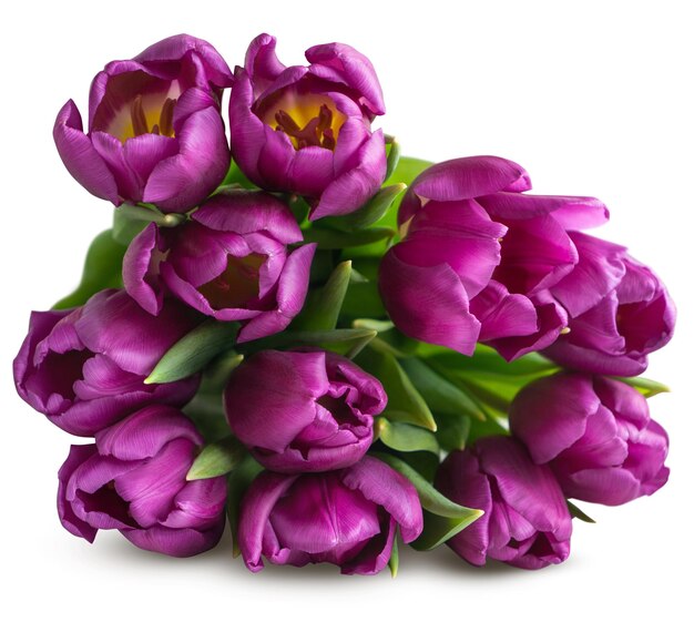 Photo bouquet de tulipes violettes dans un bouquet isolé de png