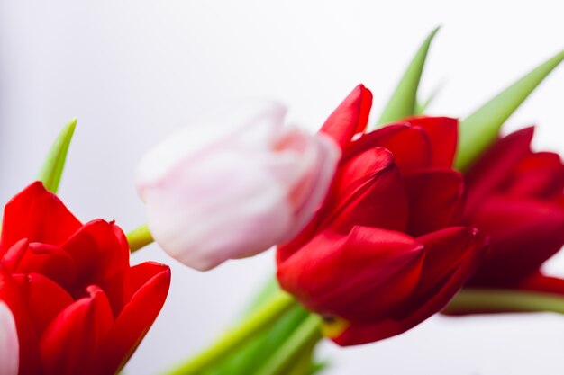 Bouquet de tulipes