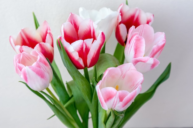 Bouquet de tulipes