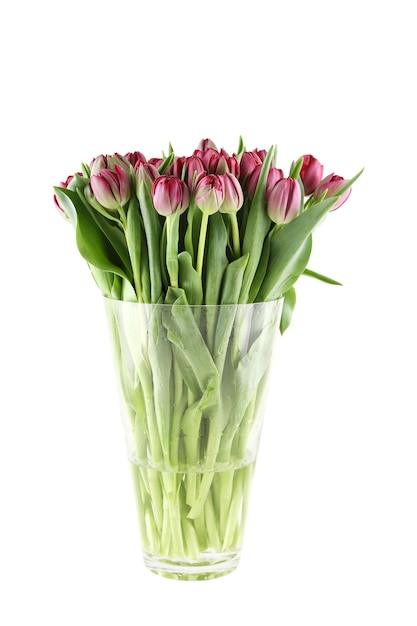 Bouquet de tulipes