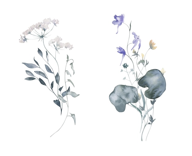 Bouquets d'aquarelle avec des fleurs et des herbes de prairie