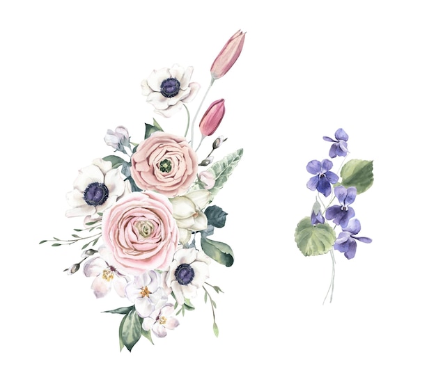 Bouquets d'aquarelle avec renoncules violettes et tulipes Parfait pour les invitations et les médias sociaux