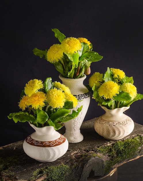 Bouquets de belles fleurs de pissenlits jaunes dans des vases sur une vieille planche de bois sur fond noir