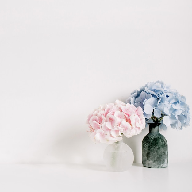 Bouquets de fleurs d'hortensia pastel rose et bleu sur une surface blanche