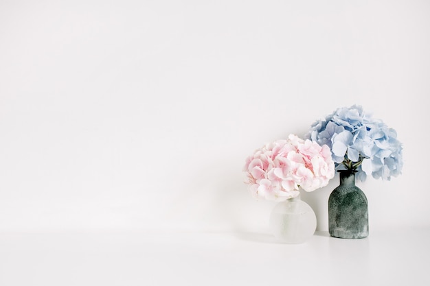 Bouquets de fleurs d'hortensia rose et bleu sur une surface blanche