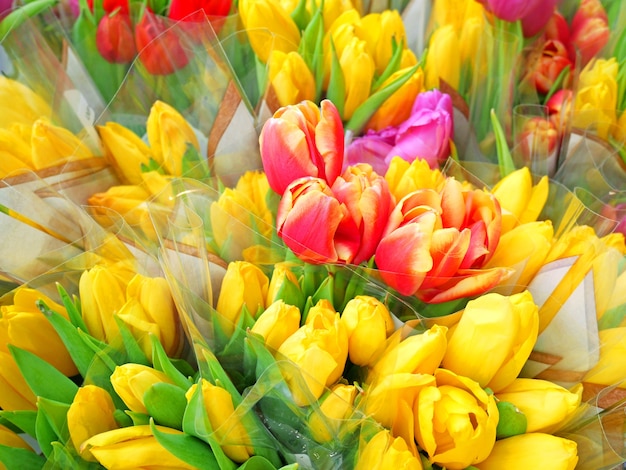 bouquets de fleurs de tulipes rouges, roses et jaunes pour la saint valentin