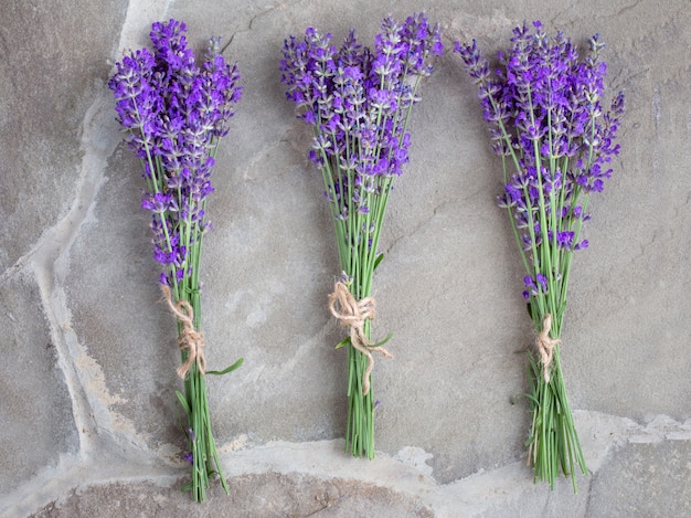 Bouquets de lavande sur fond de béton. Plantes médicinales. Aromathérapie. Été