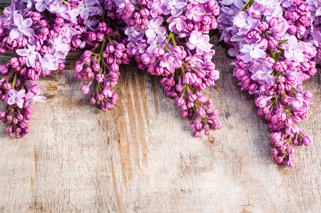 Bouquets de lilas sur vieux bois minable