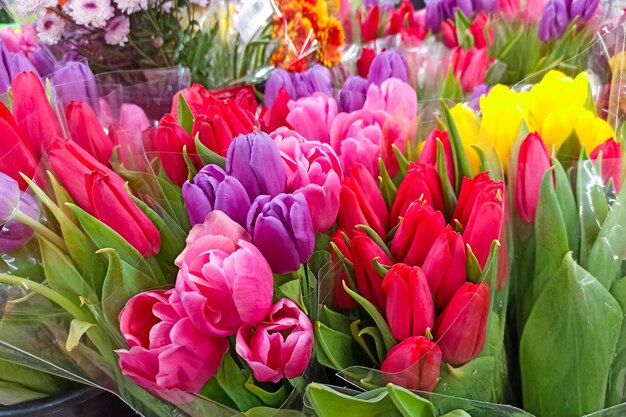 Bouquets multicolores de fond ou de texture de tulipes