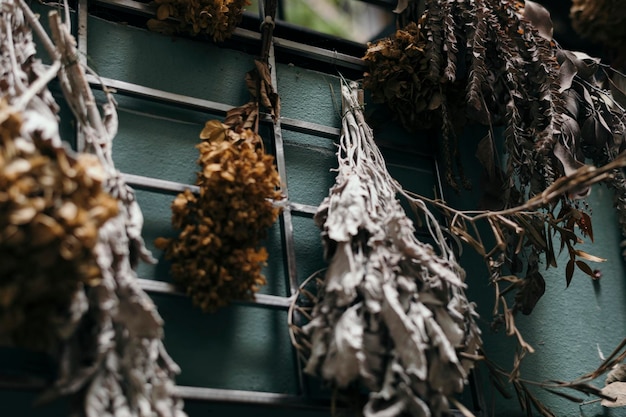 Bouquets secs de feuilles accrochés à un mur bleu