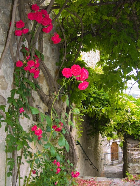 Bourdeauxdromefrance