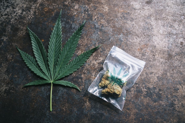 Bourgeons de cannabis dans un sac en plastique avec signe Hanf et feuille de chanvre. Concept de médecine alternative à base de plantes, d'huile de cbd, d'industrie pharmaceutique ou de consommation de drogues illégales