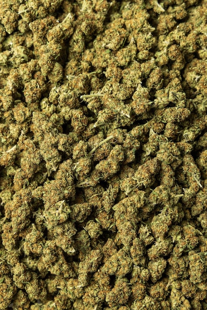 Photo bourgeons et inflorescences de marijuana prêts à vendre vue de dessus