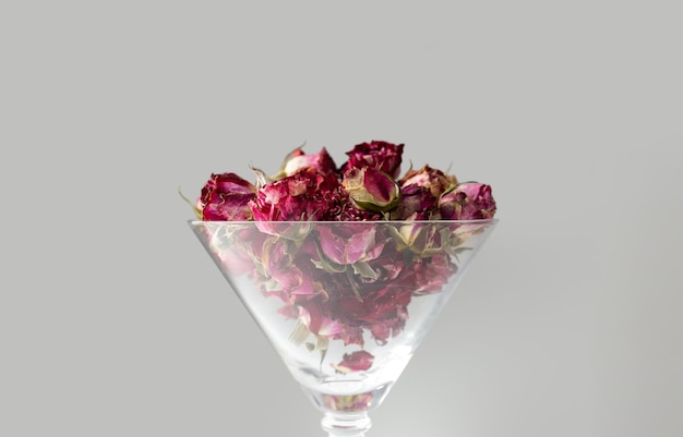 Des bourgeons de roses dans un verre de martini isolés sur un fond blanc